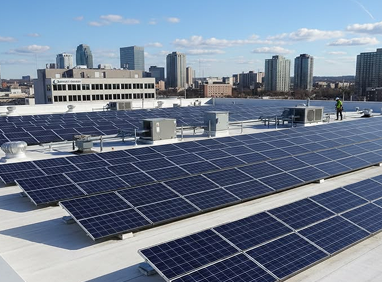 Primary Project Array